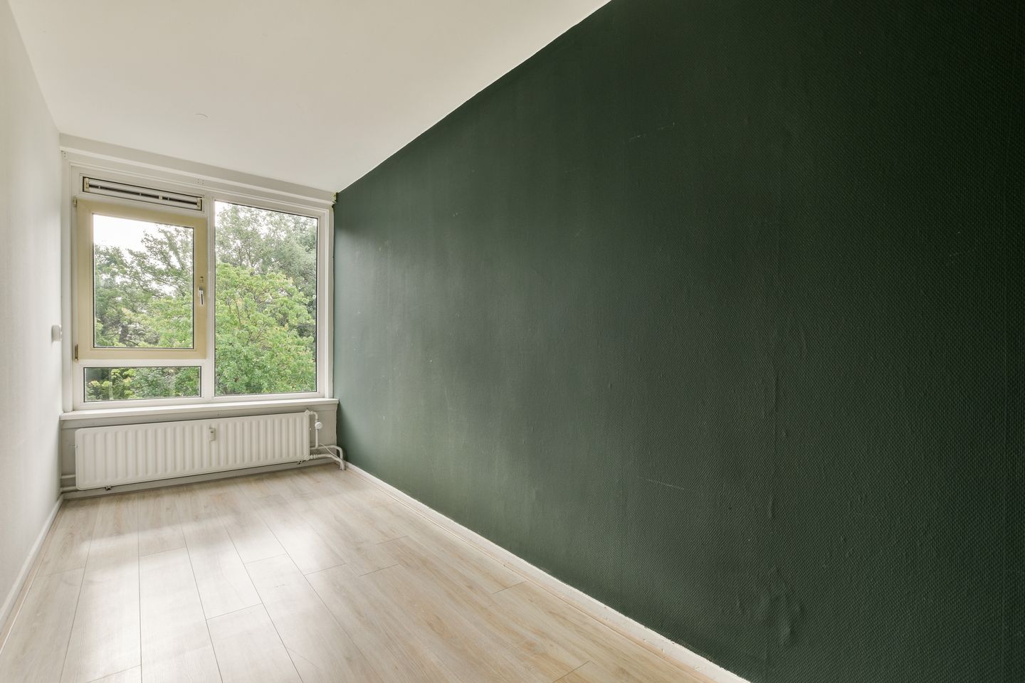 Foto 20 van Groen van Prinstererweg 49