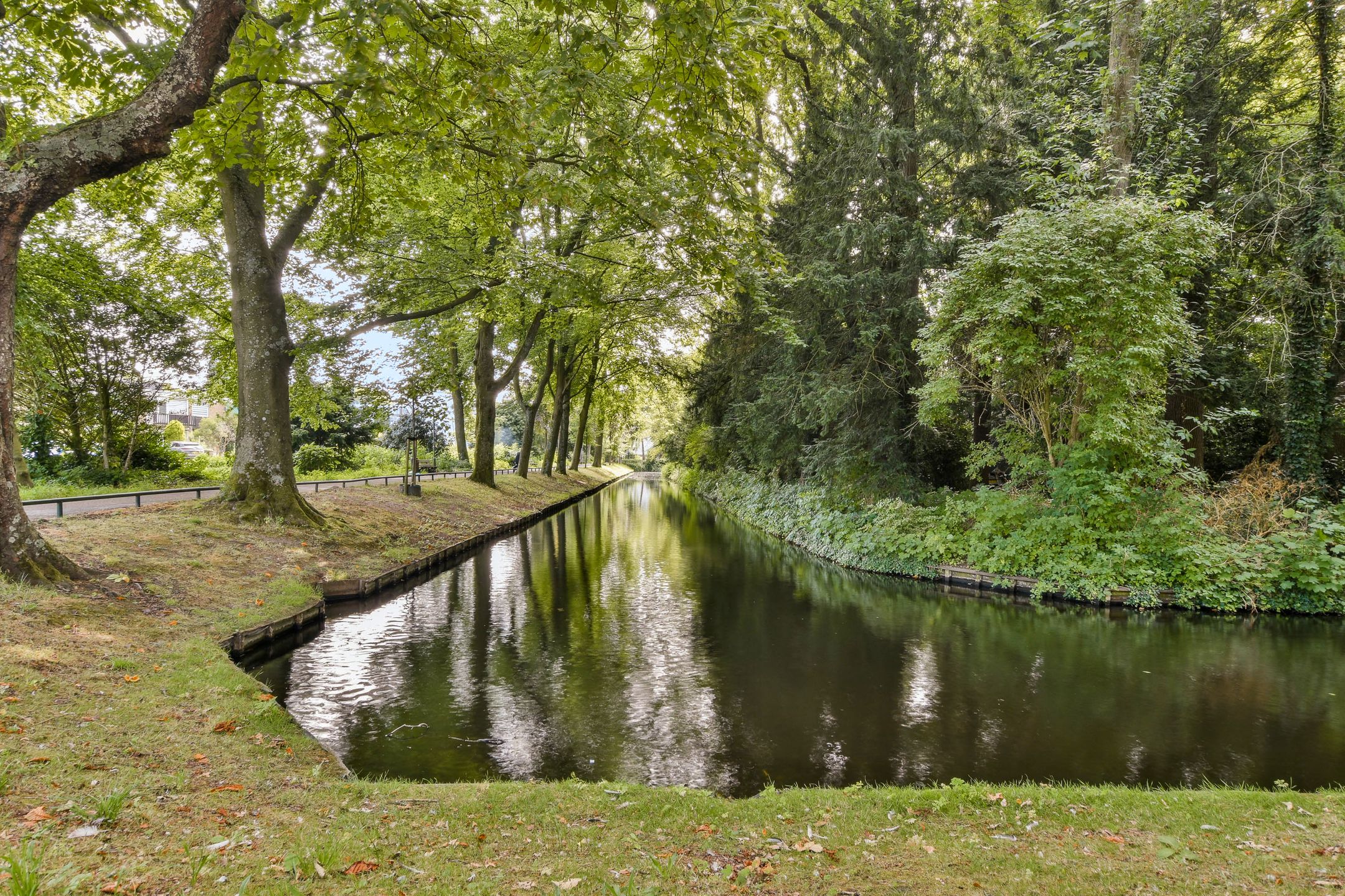 Foto 27 van Groen van Prinstererweg 49