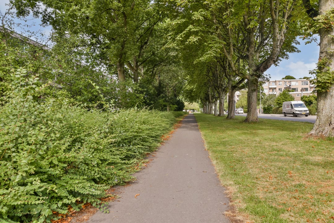 Foto 28 van Groen van Prinstererweg 49