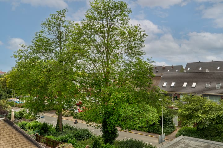 Foto 43 van Floris Burgwal 45