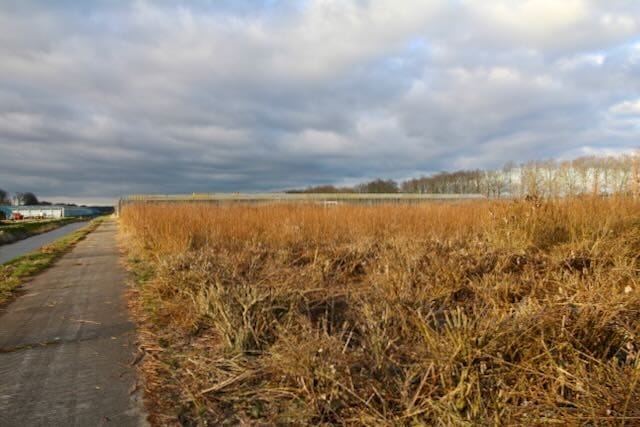 Achterdiep Noordzijde, Sappemeer