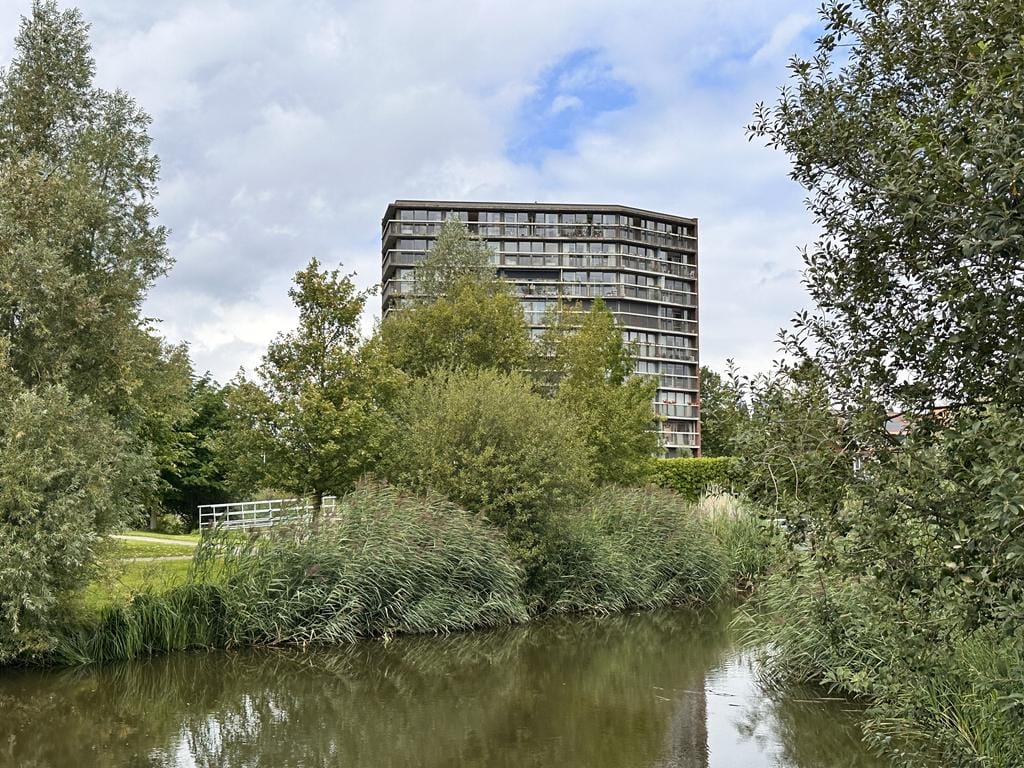 Photo 25 of Binckesstraat 156