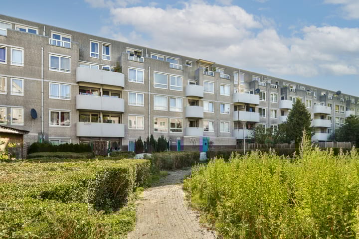 Foto 20 van Bernard Shawsingel 56