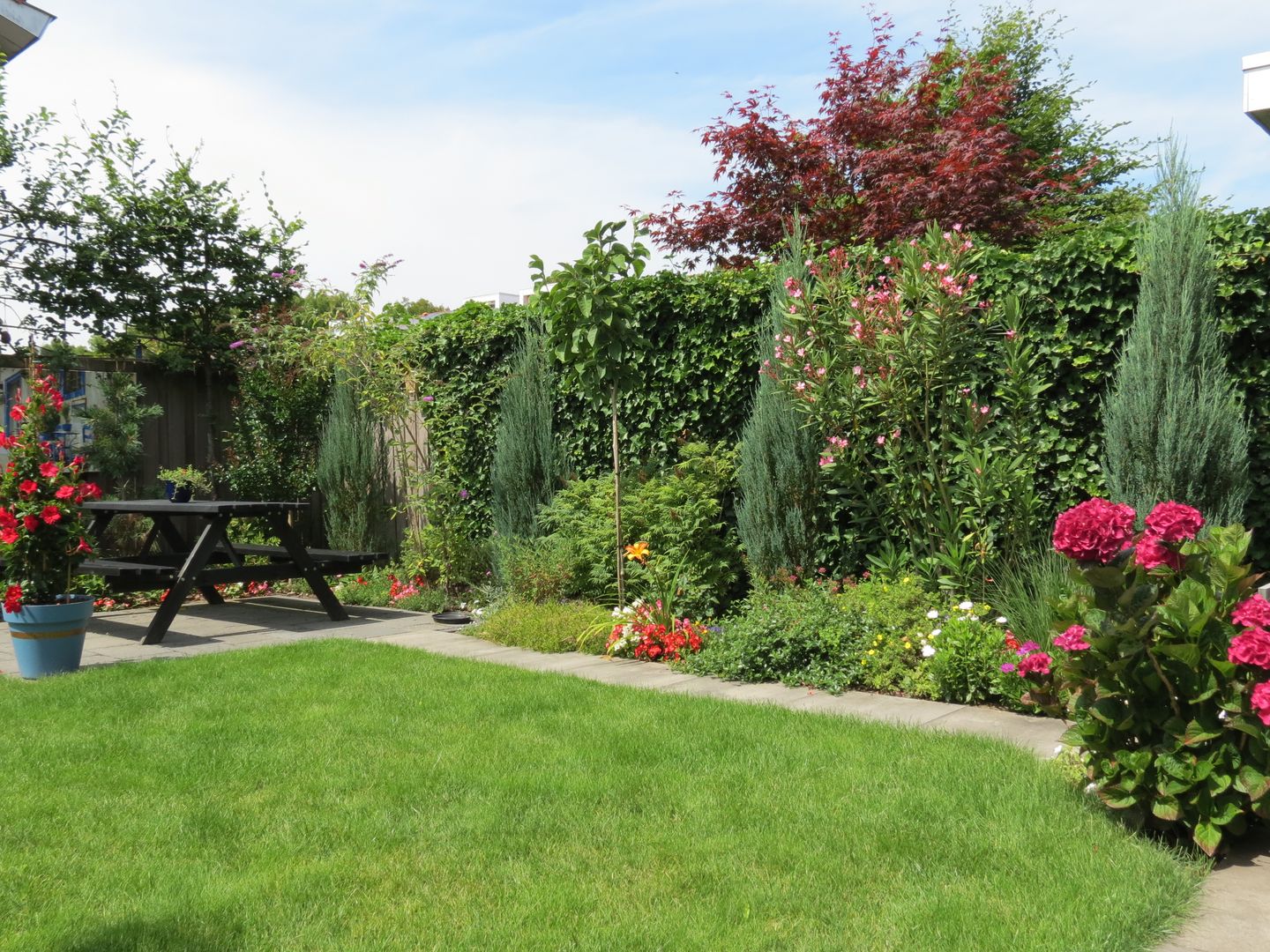 Foto 35 van Regenboog 155