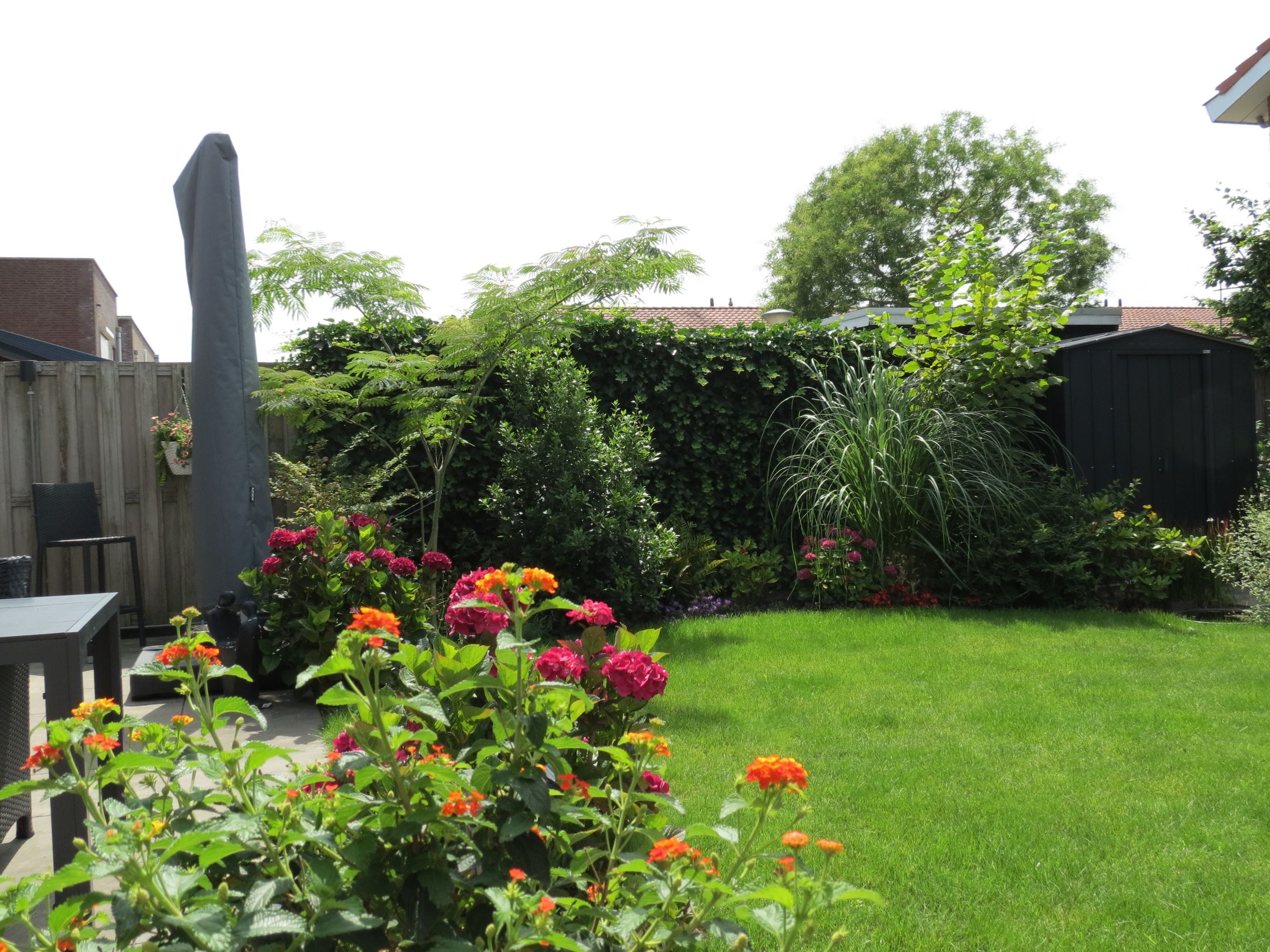 Foto 36 van Regenboog 155