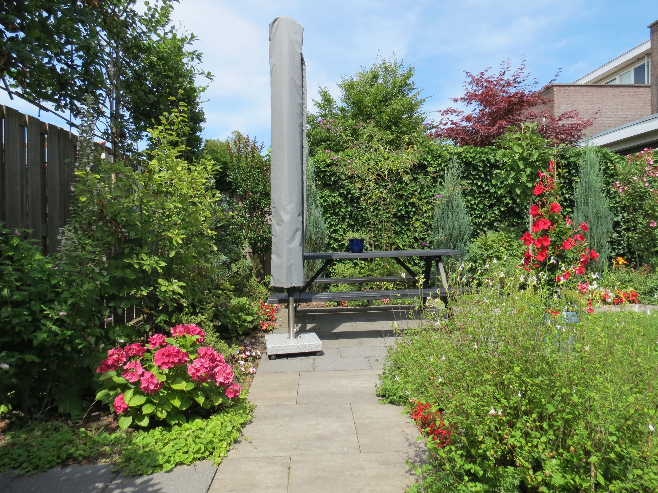 Foto 42 van Regenboog 155