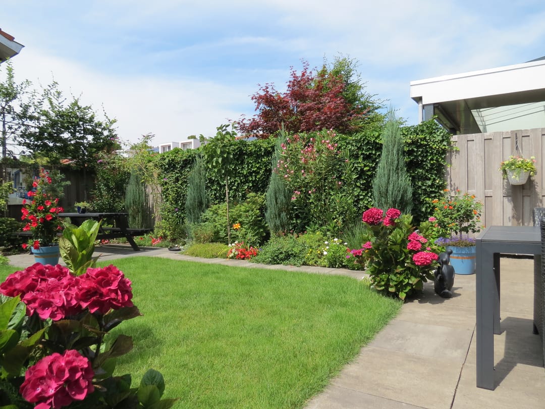 Foto 43 van Regenboog 155