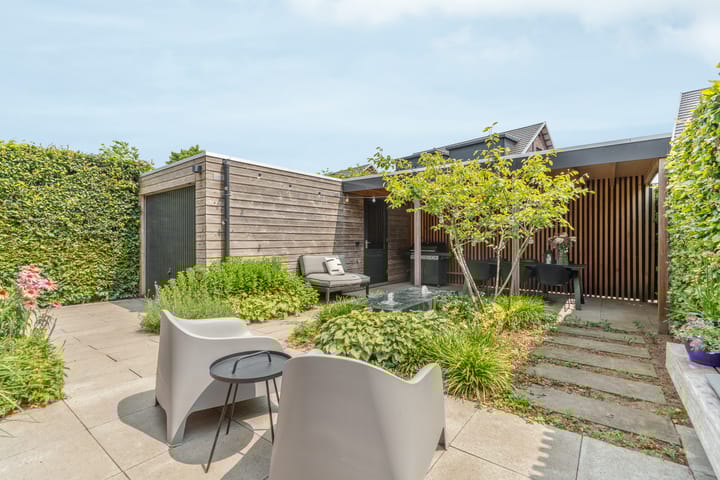 Photo 2 of Black Alicante 45