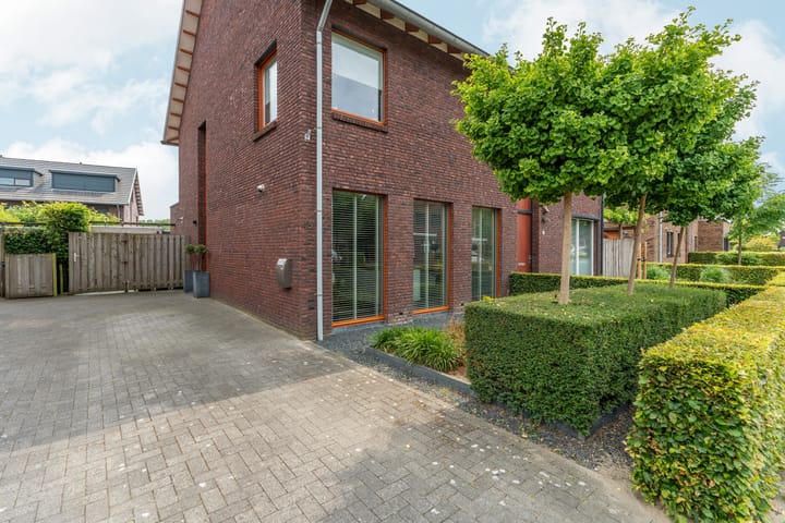 Foto 45 van Black Alicante 45