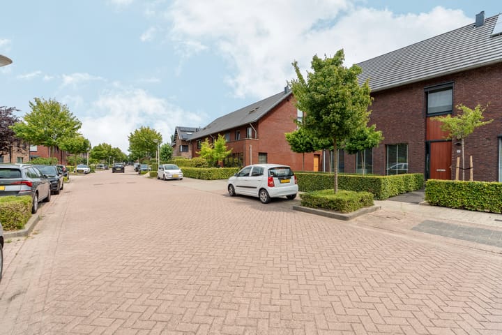 Foto 47 van Black Alicante 45