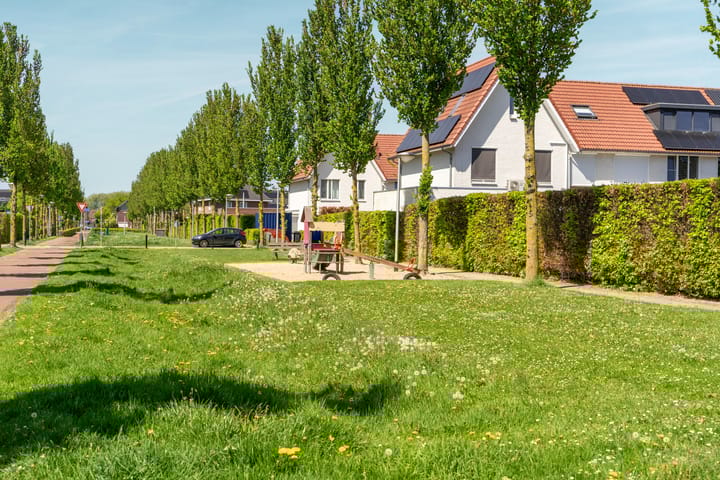 Foto 55 van Black Alicante 45