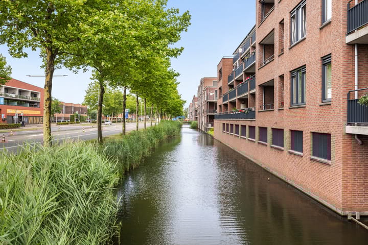 Foto 22 van Zalm 226