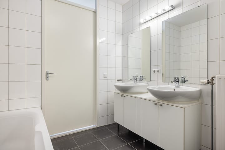 Foto 29 van Zalm 226