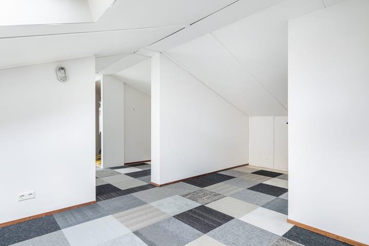 Foto 36 van Zalm 226