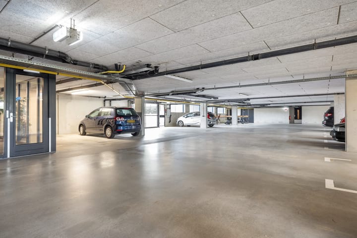 Foto 37 van Zalm 226