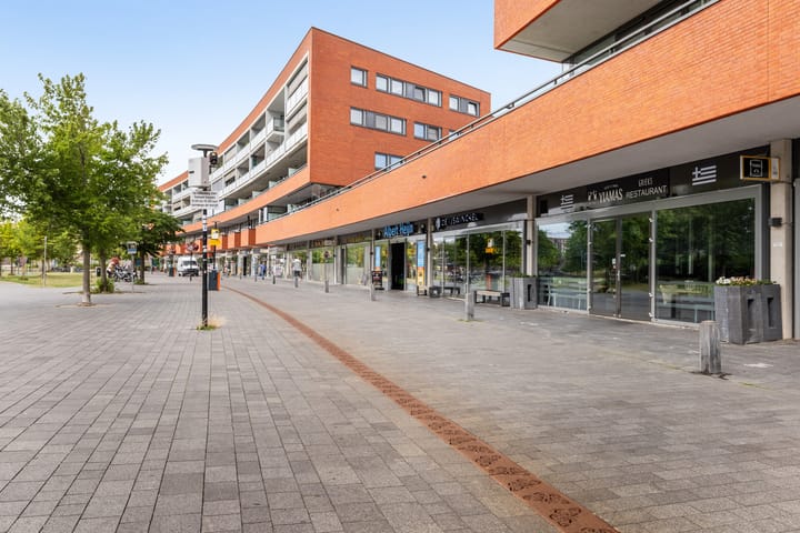 Foto 40 van Zalm 226