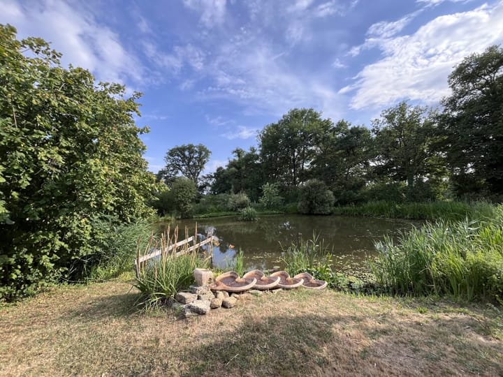 Photo 29 of Lieu dit La Bussiere 1