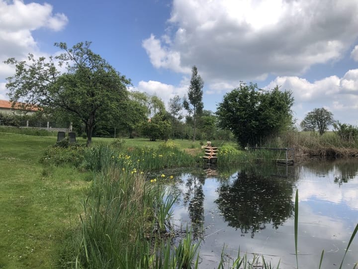 Photo 30 of Lieu dit La Bussiere 1