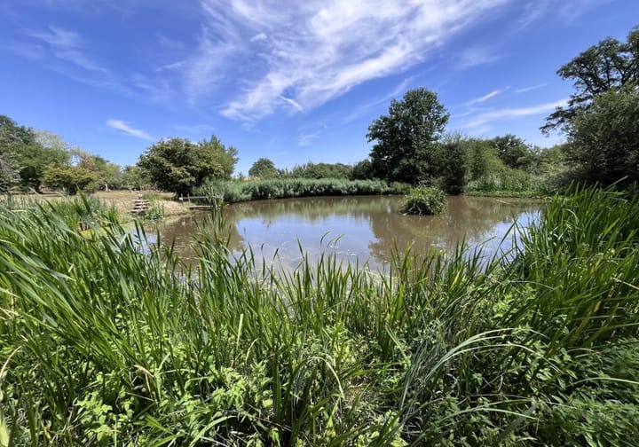 Photo 32 of Lieu dit La Bussiere 1