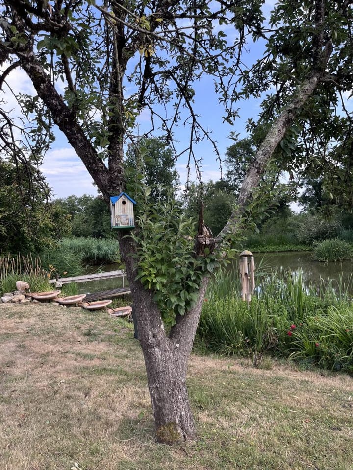 Photo 34 of Lieu dit La Bussiere 1