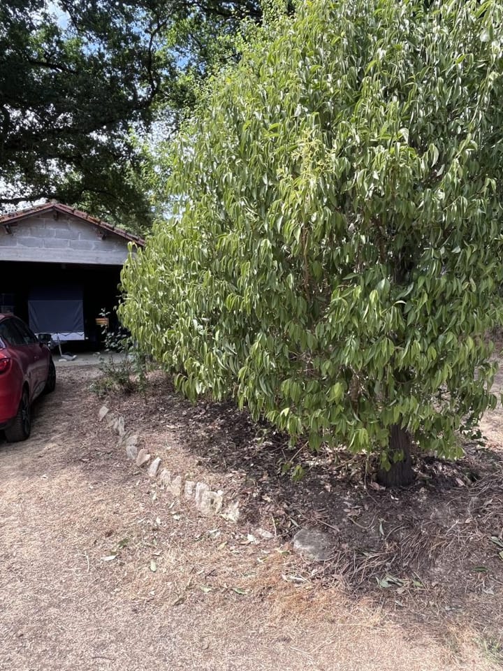 Photo 42 of Lieu dit La Bussiere 1