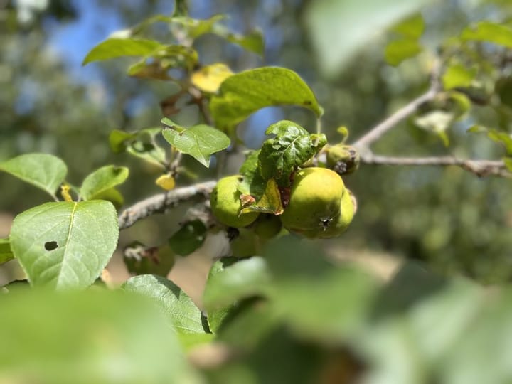 Photo 45 of Lieu dit La Bussiere 1