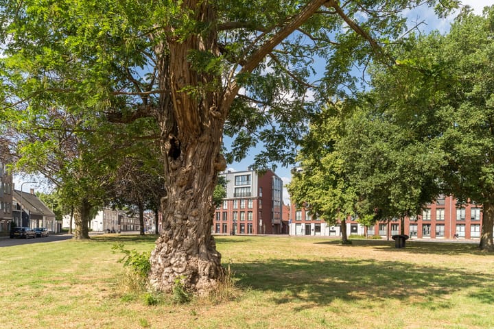 Foto 36 van Hoefstraat 29