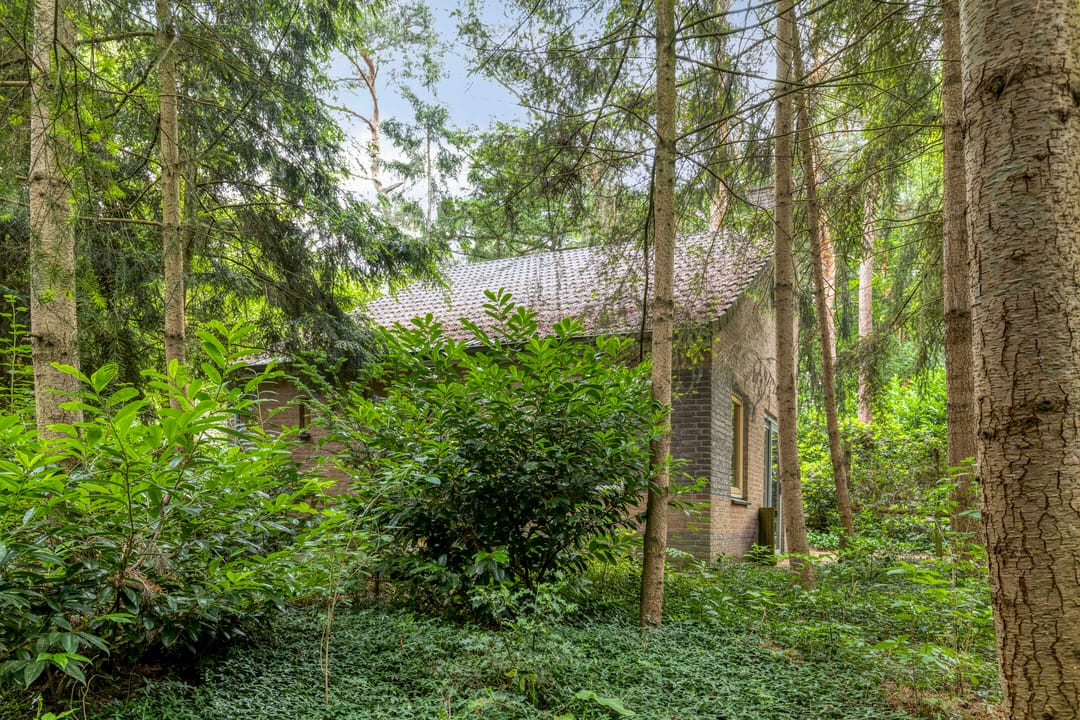 Foto 2 van Ruurloseweg 39-W35