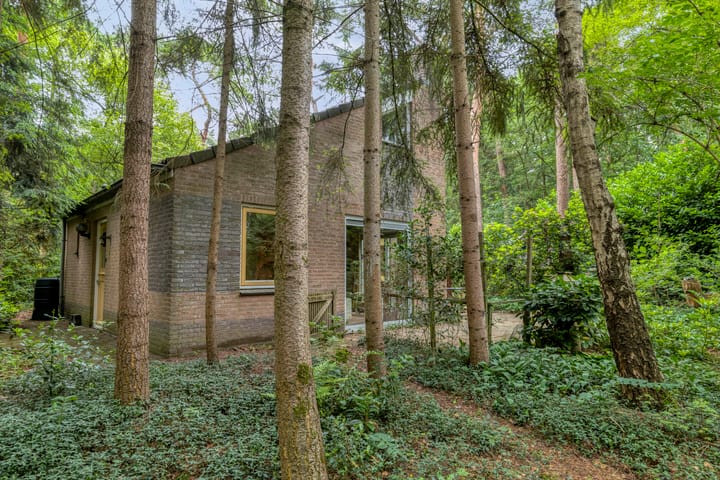 Photo 3 of Ruurloseweg 39-W35