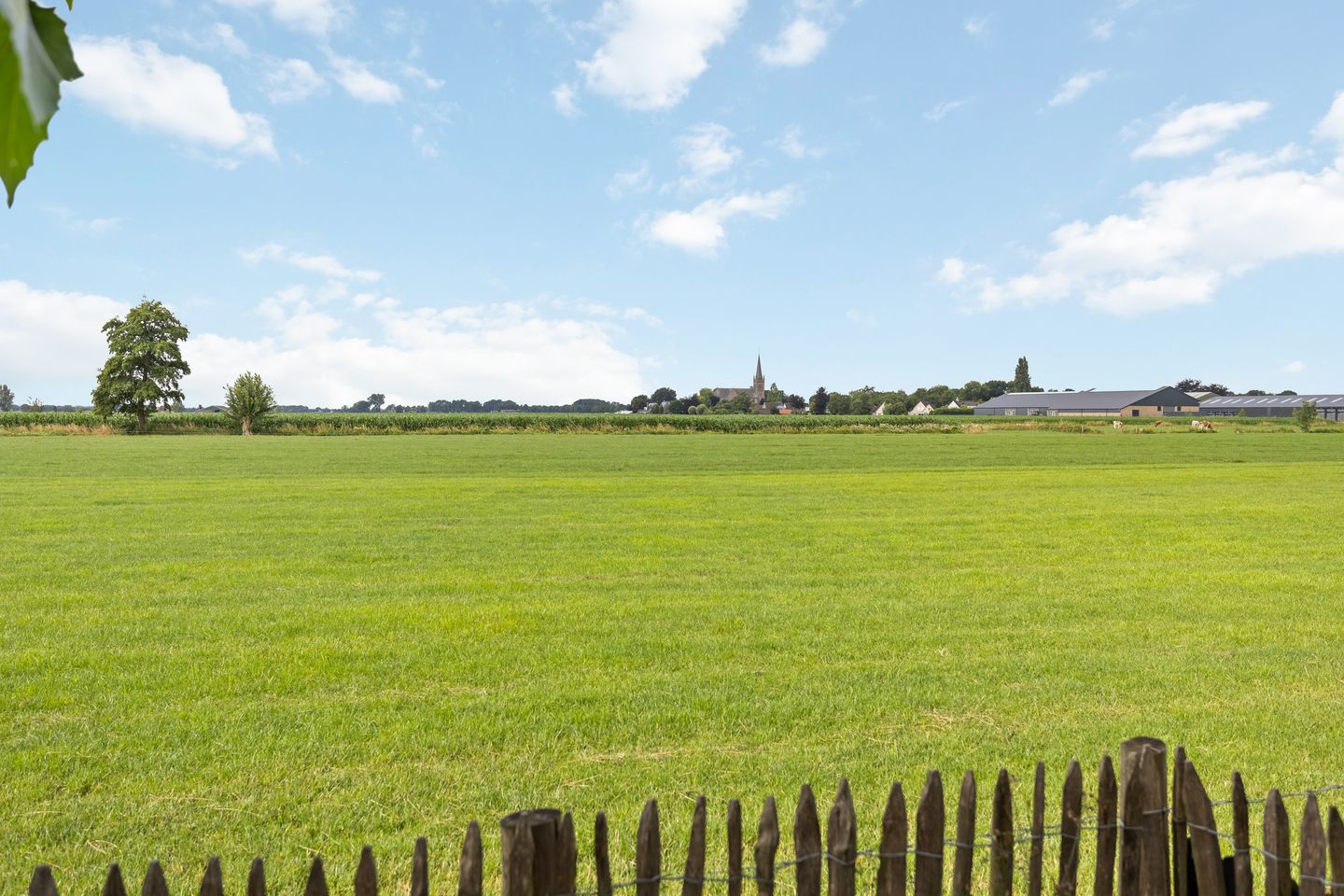 Foto 40 van Waterstraat 6