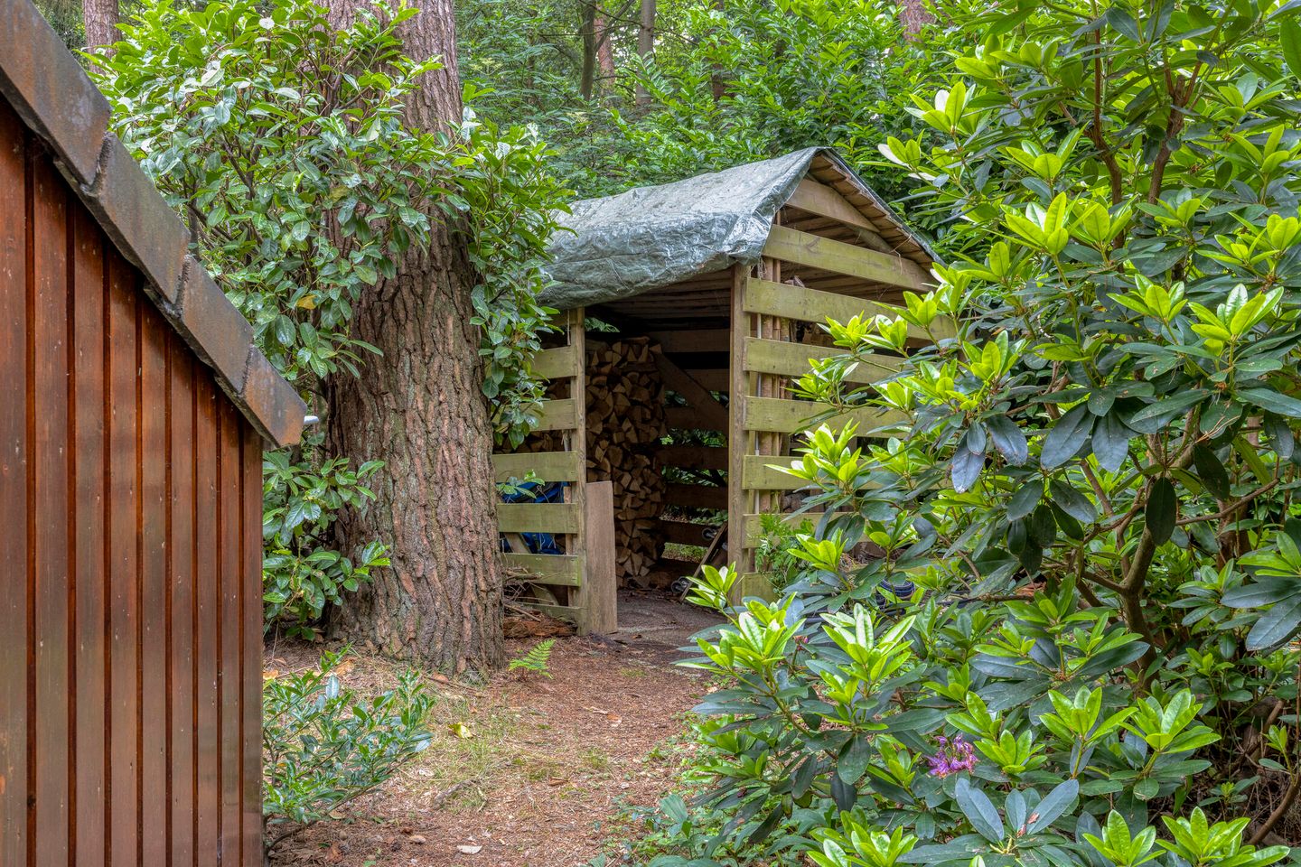 Foto 35 van Ruurloseweg 39-W35