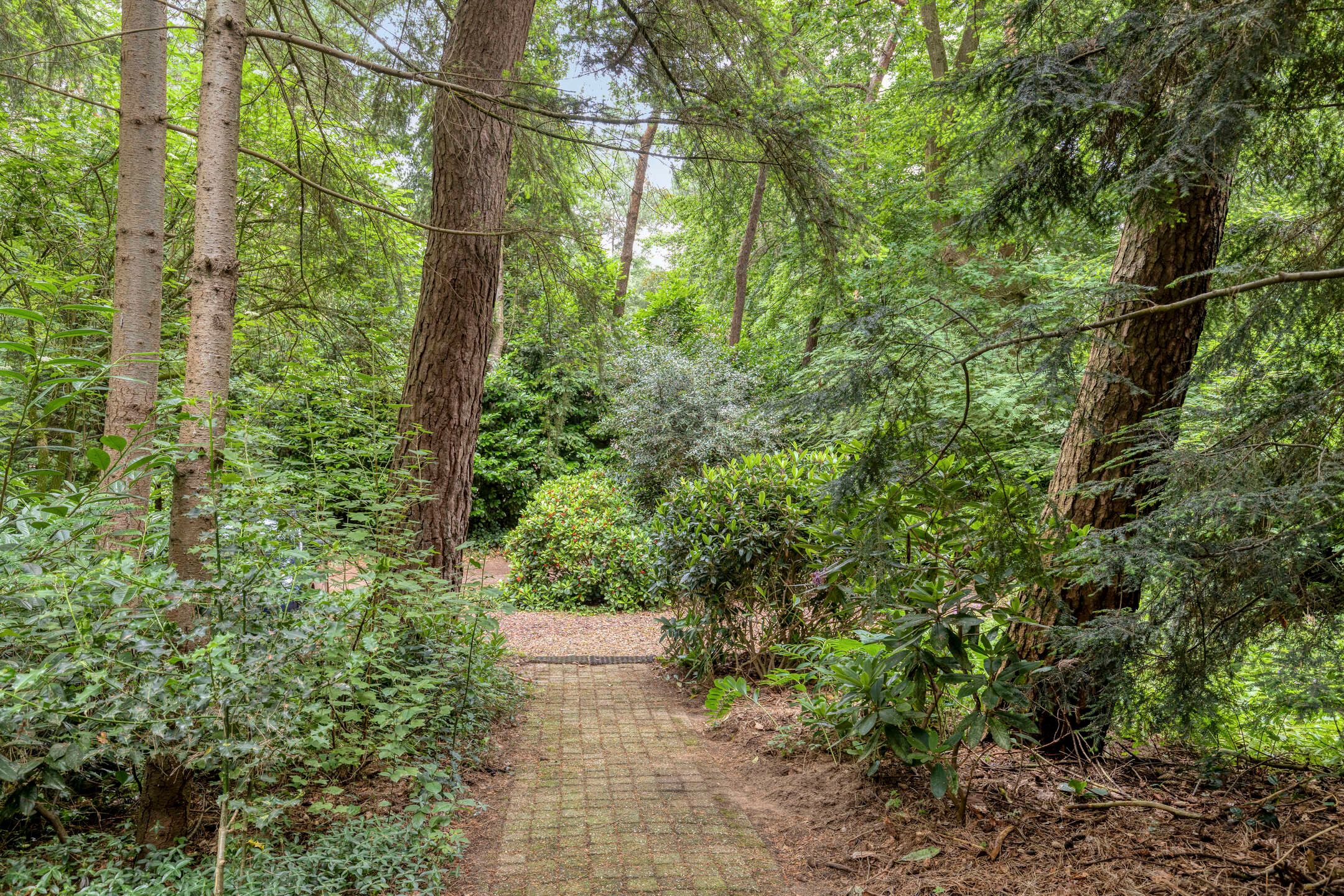 Foto 39 van Ruurloseweg 39-W35