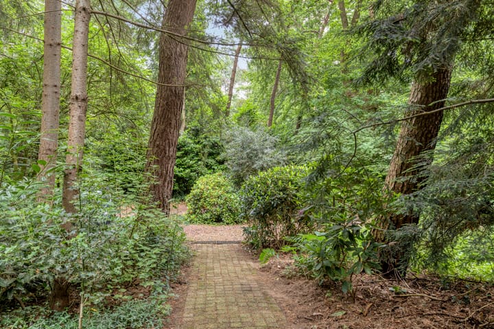 Foto 39 van Ruurloseweg 39-W35