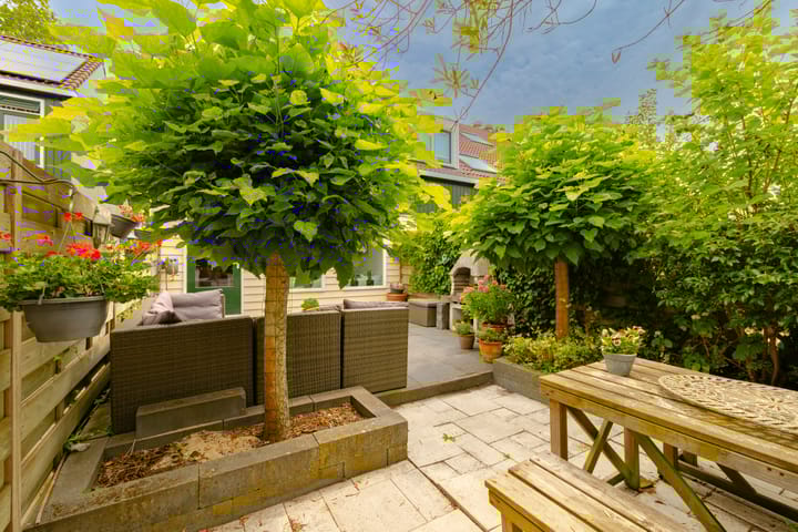 Foto 19 van Dassenbos 256