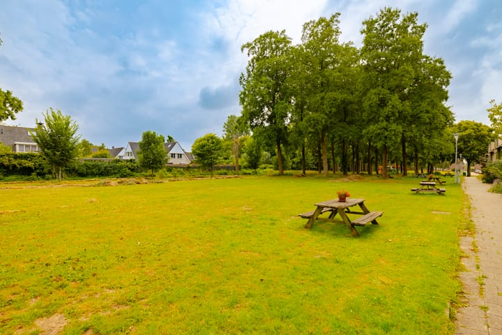 Foto 42 van Dassenbos 256