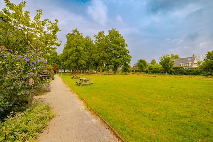 Foto 43 van Dassenbos 256