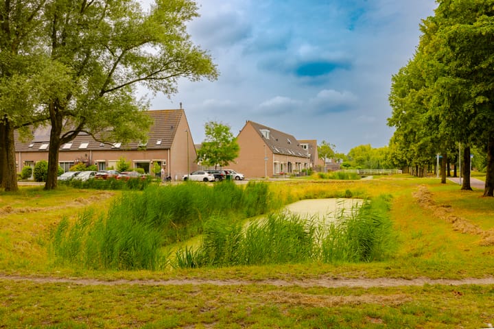 Foto 46 van Dassenbos 256