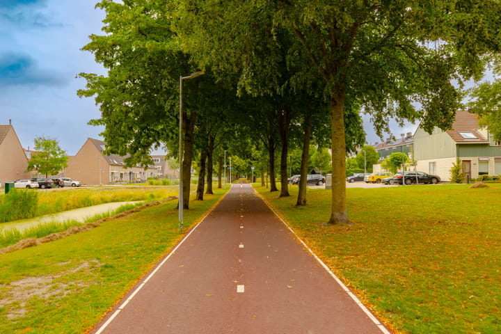 Foto 47 van Dassenbos 256