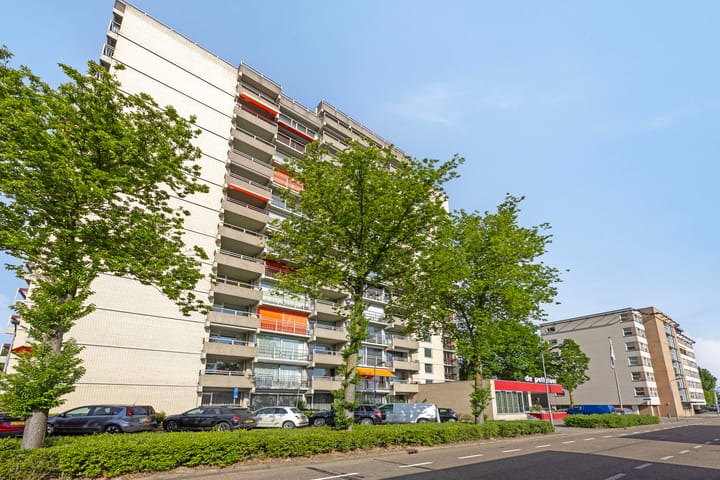 Foto 2 van Senecalaan 71