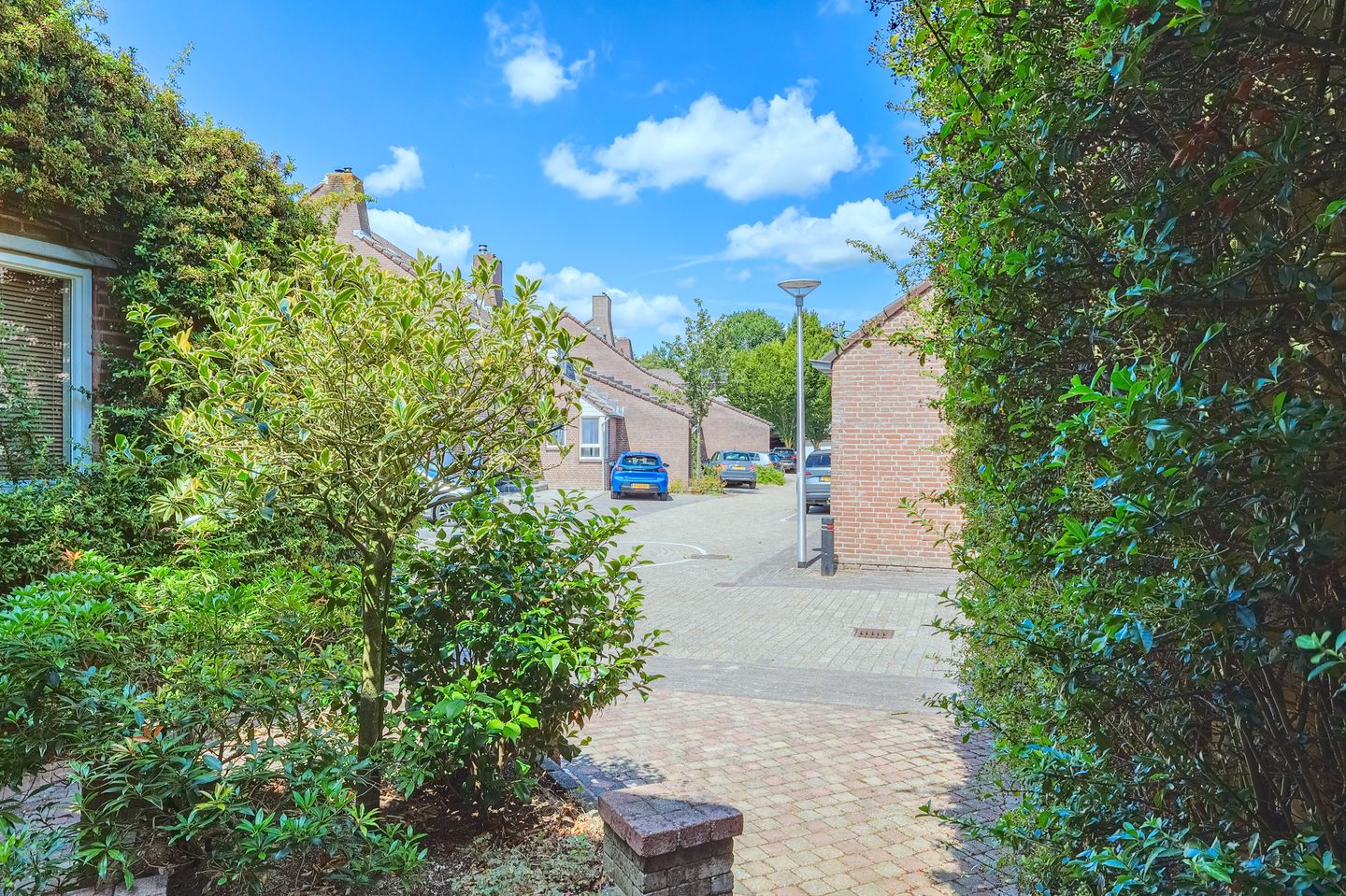 Foto 35 van Groenenweer 13