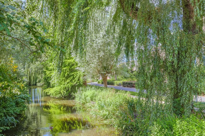 Foto 36 van Groenenweer 13