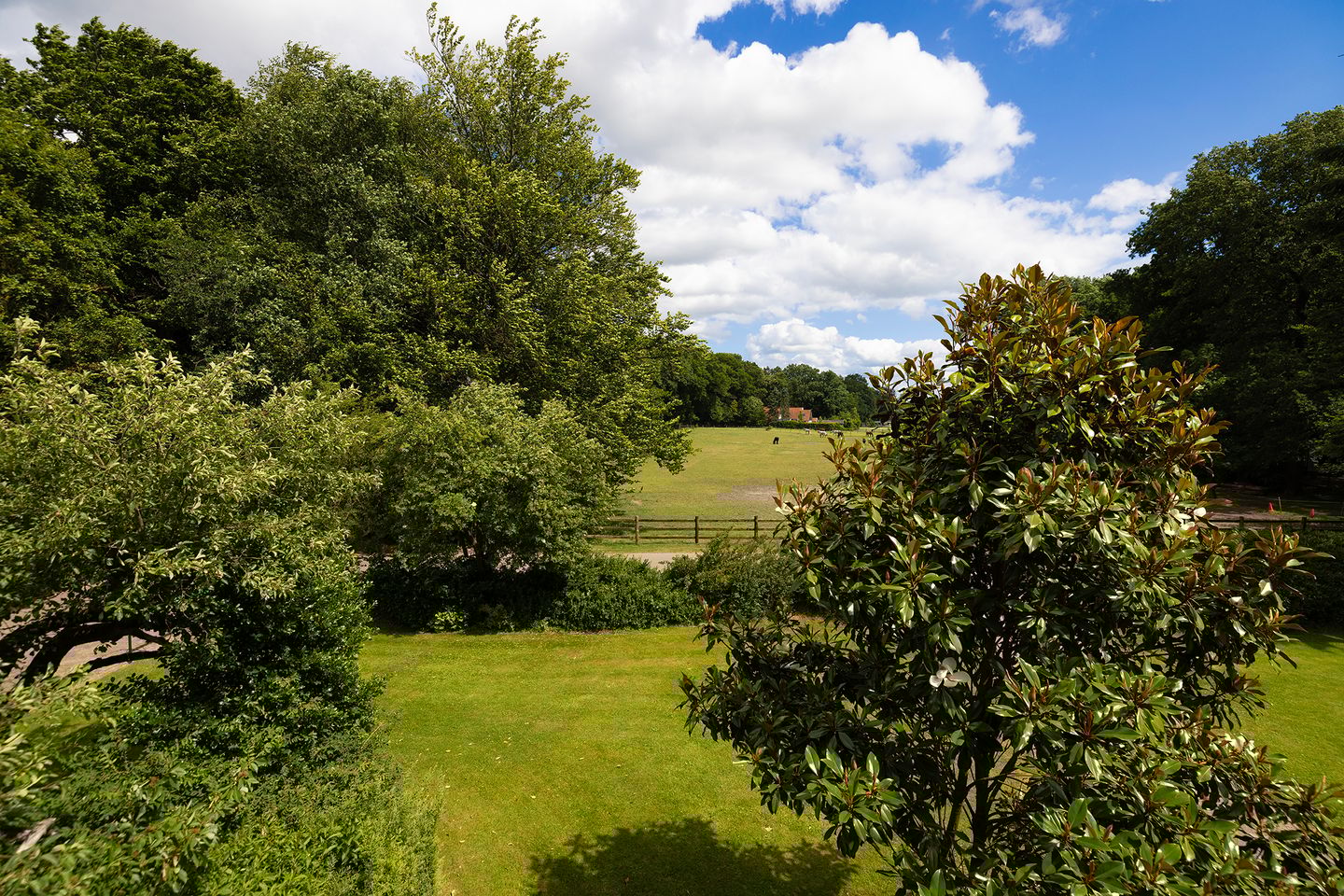 Photo 40 of Rietberglaan 8