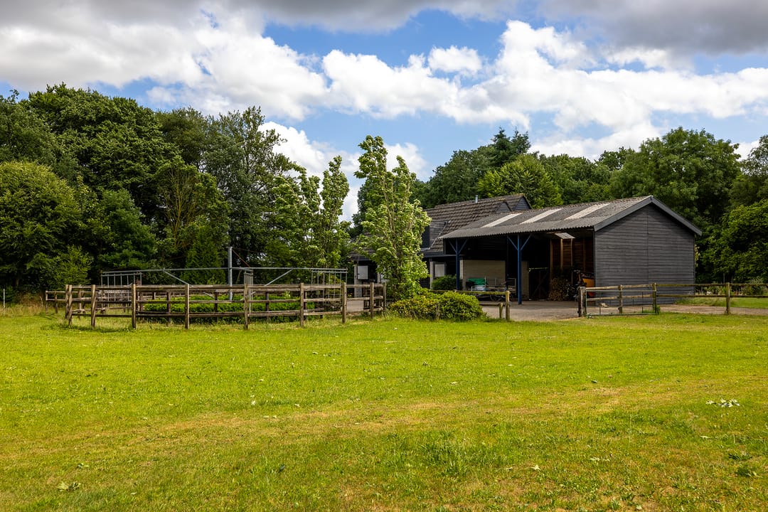 Photo 52 of Rietberglaan 8