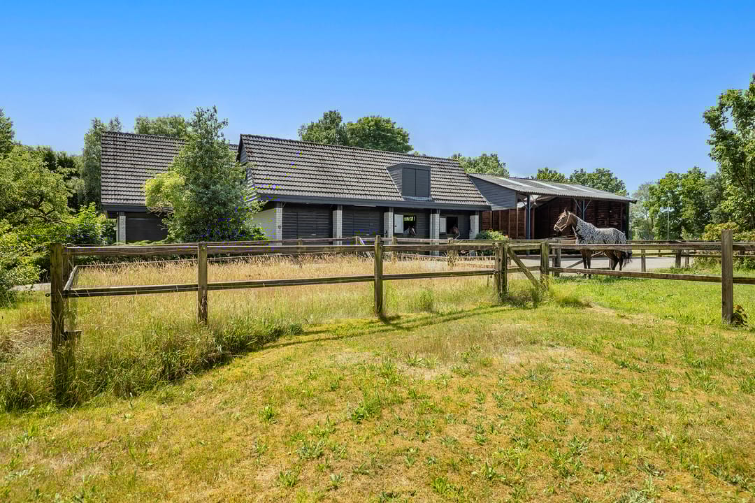 Photo 53 of Rietberglaan 8