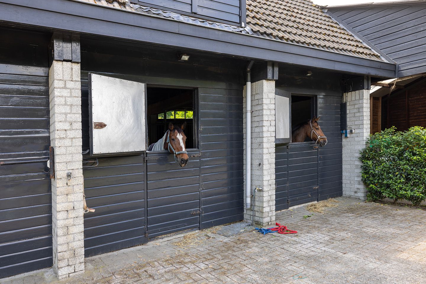 Photo 55 of Rietberglaan 8