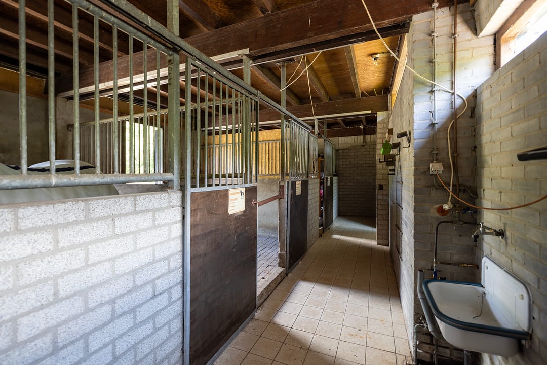 Photo 56 of Rietberglaan 8