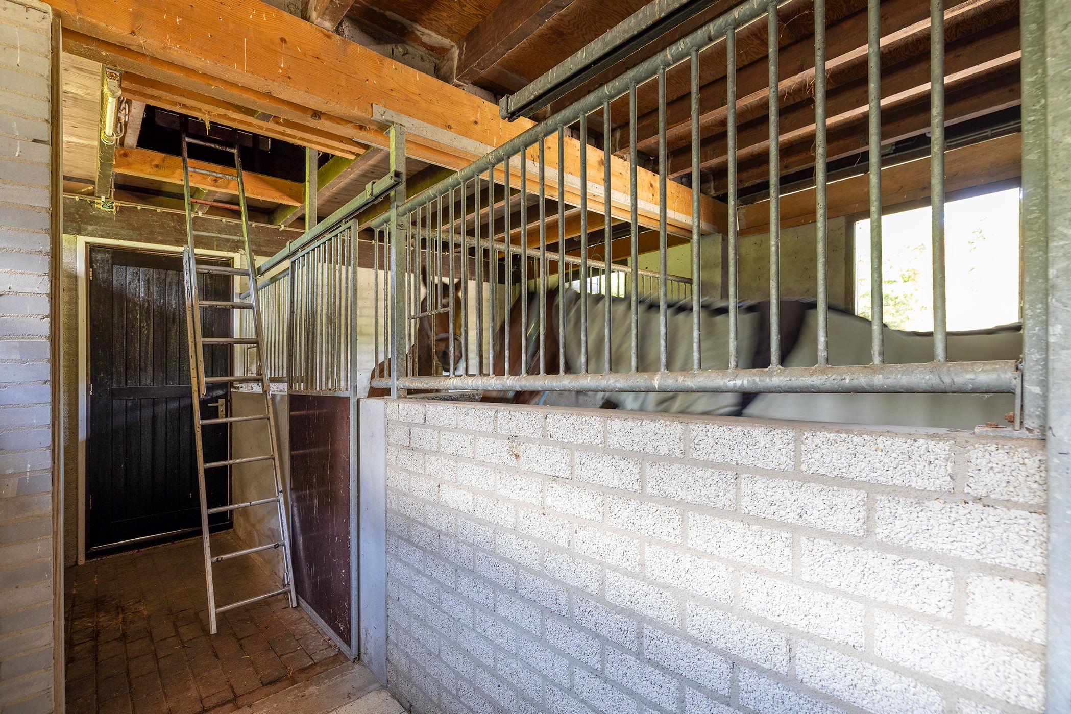 Photo 57 of Rietberglaan 8