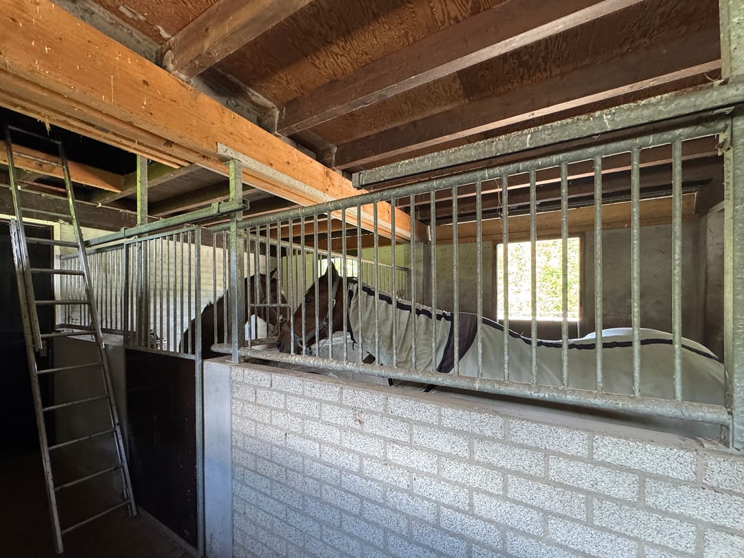 Photo 58 of Rietberglaan 8