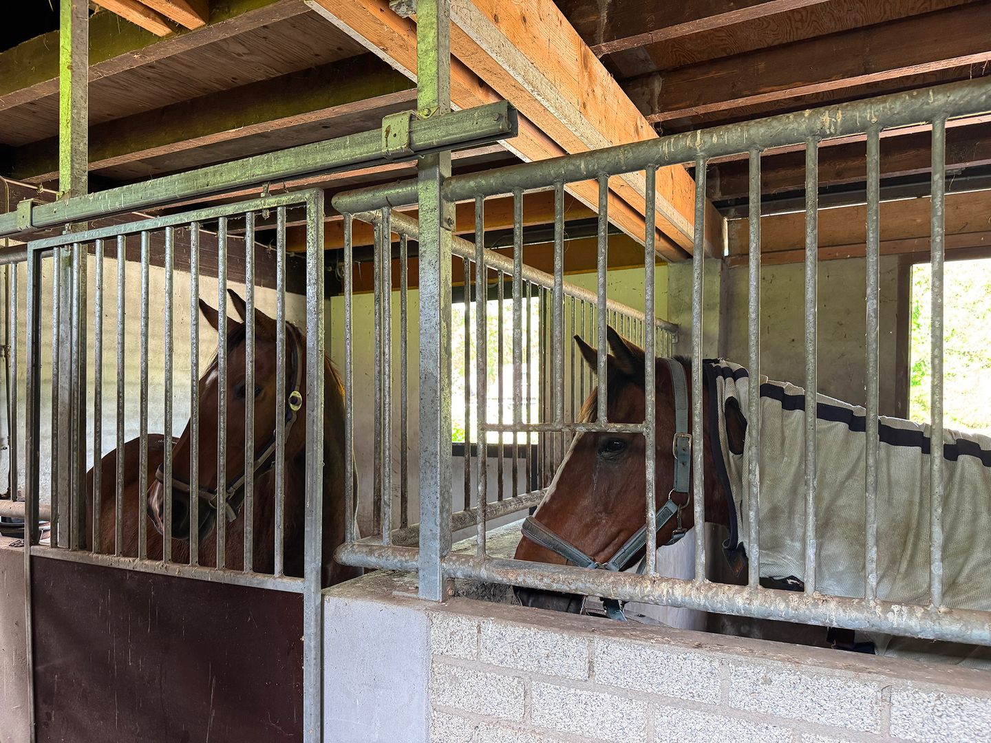 Photo 59 of Rietberglaan 8