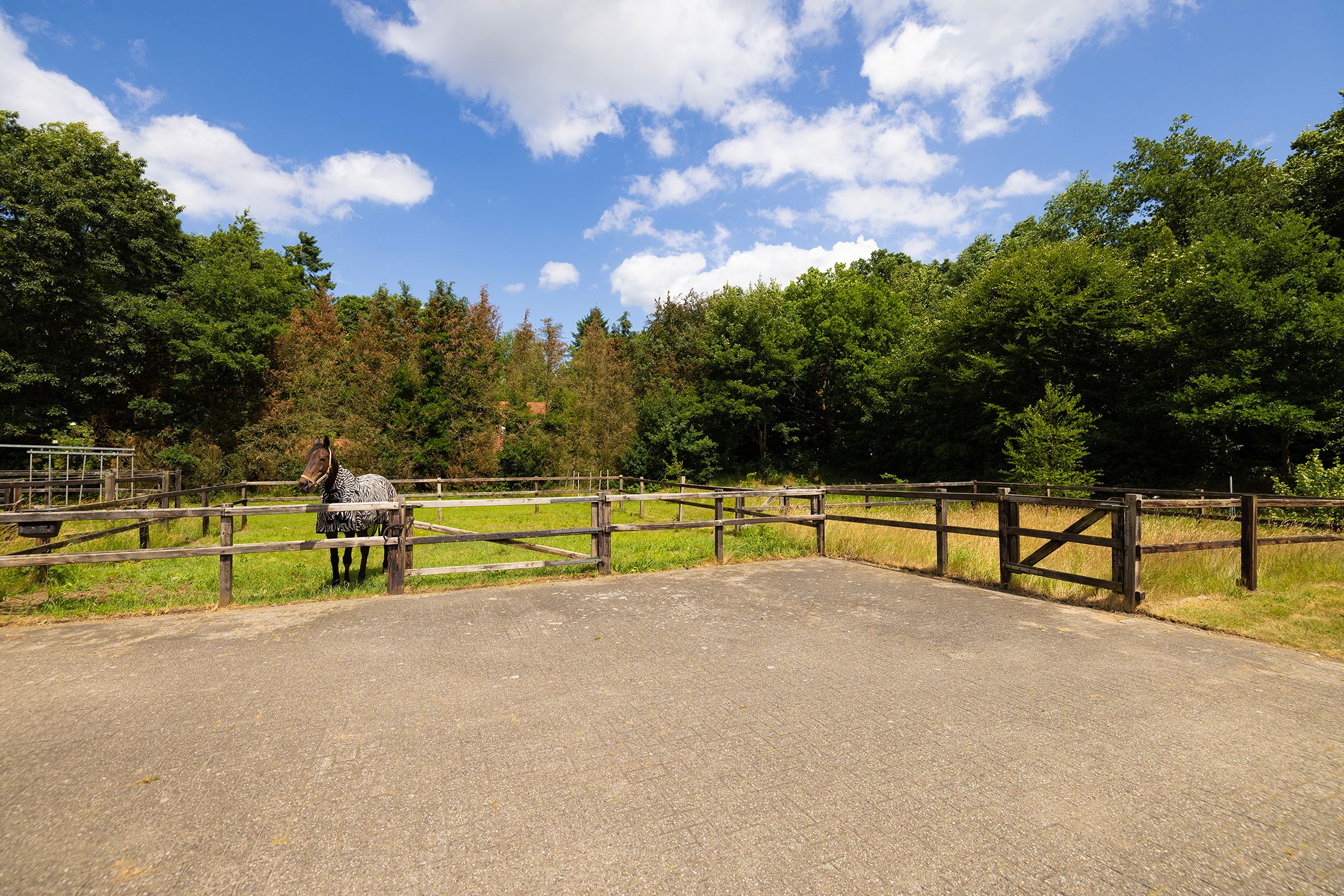 Photo 60 of Rietberglaan 8